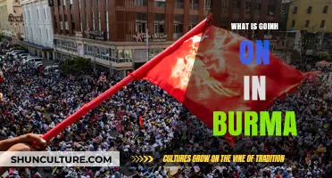 Unraveling the Complex Crisis: A Deep Dive into Burma's Current Affairs