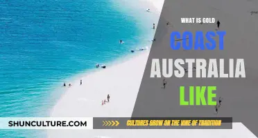Exploring Gold Coast, Australia: Beaches, Lifestyle, and Vibrant Culture