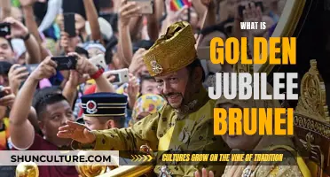 Golden Jubilee of Brunei: Celebrating 50 Years of Royalty