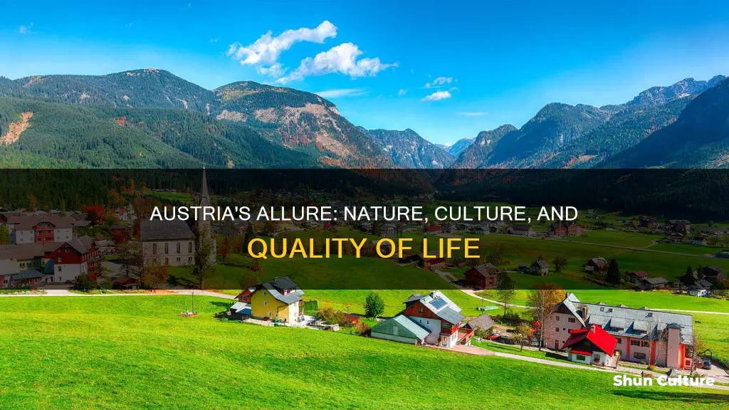 what is good about austria