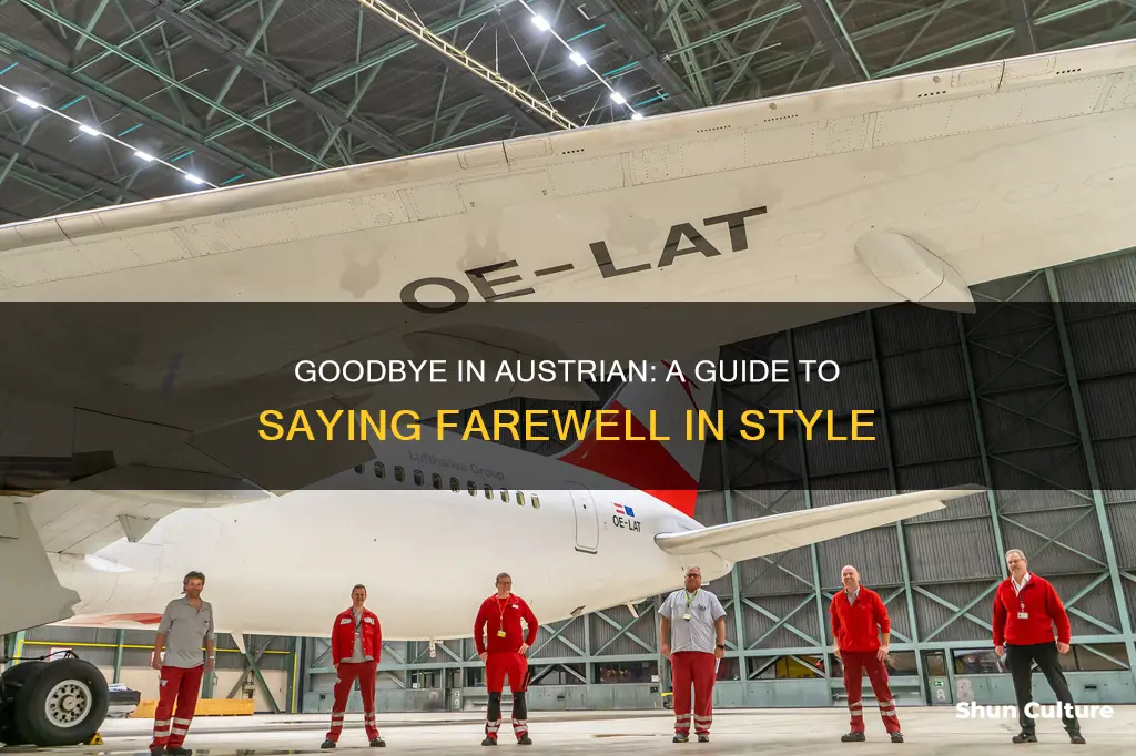 what is goodbye in austrian