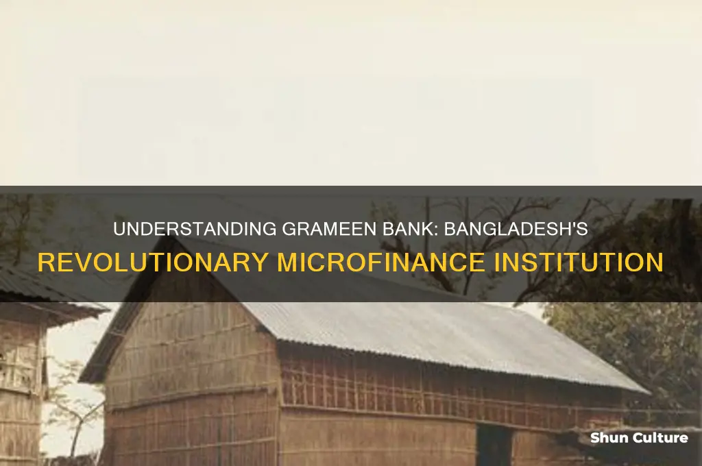 what is grameen bank of bangladesh
