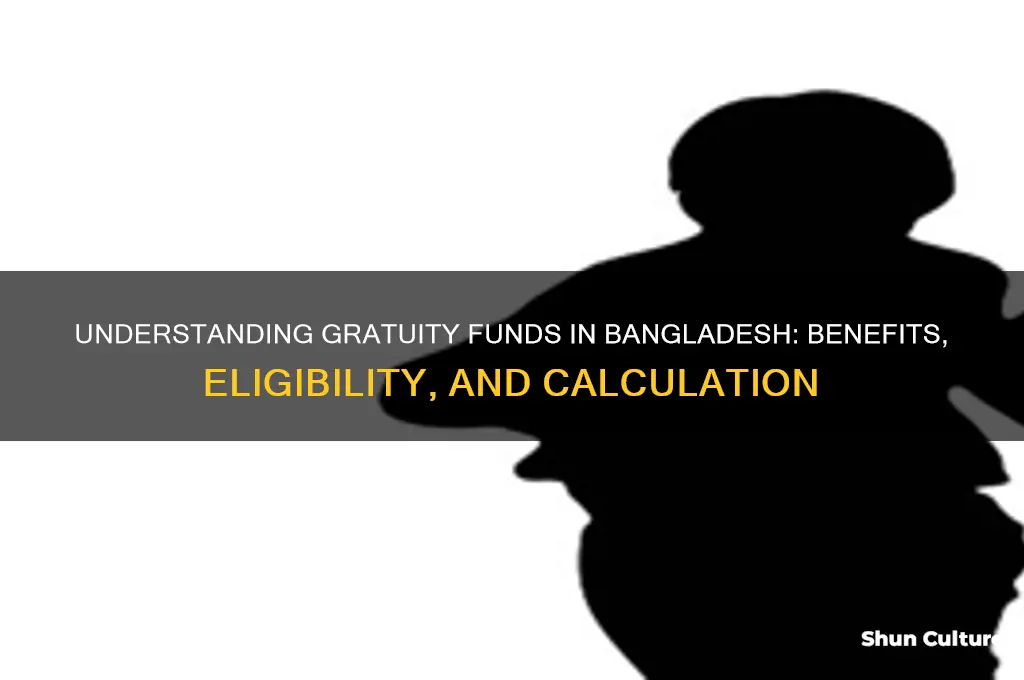 what is gratuity fund in bangladesh