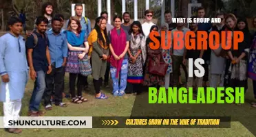 Understanding Group and Subgroup Dynamics in Bangladesh's Social Structure