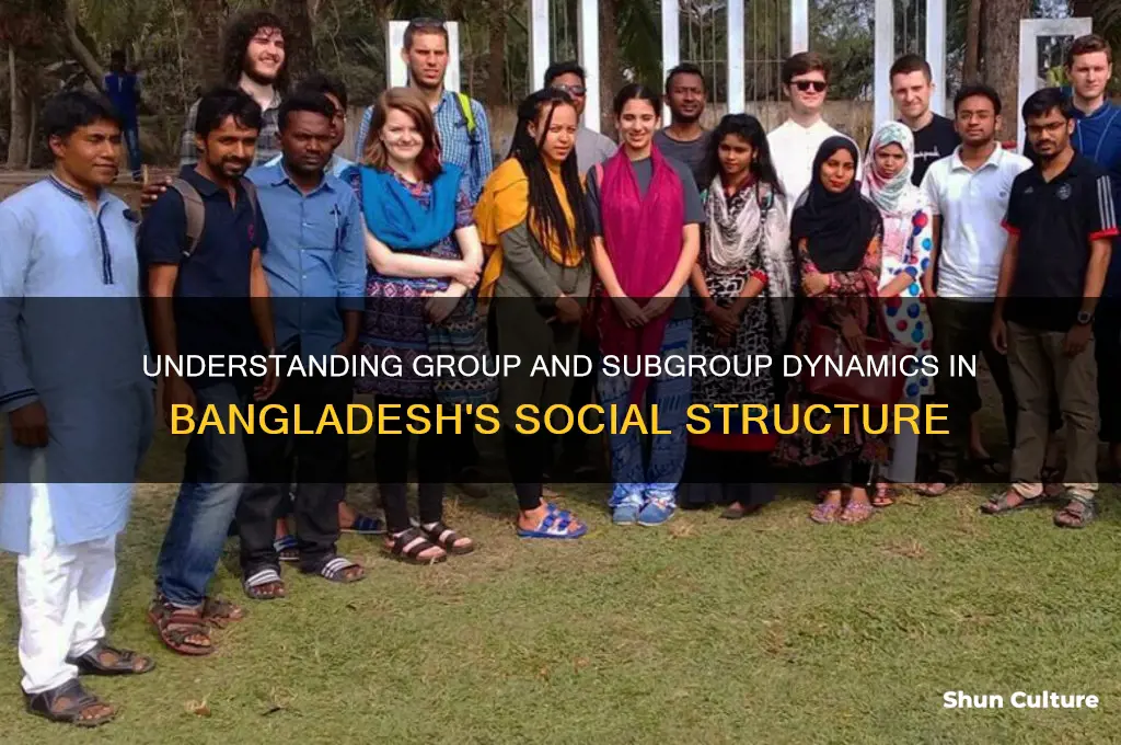 what is group and subgroup is bangladesh
