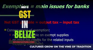 Belize's GST: Understanding the Goods and Services Tax