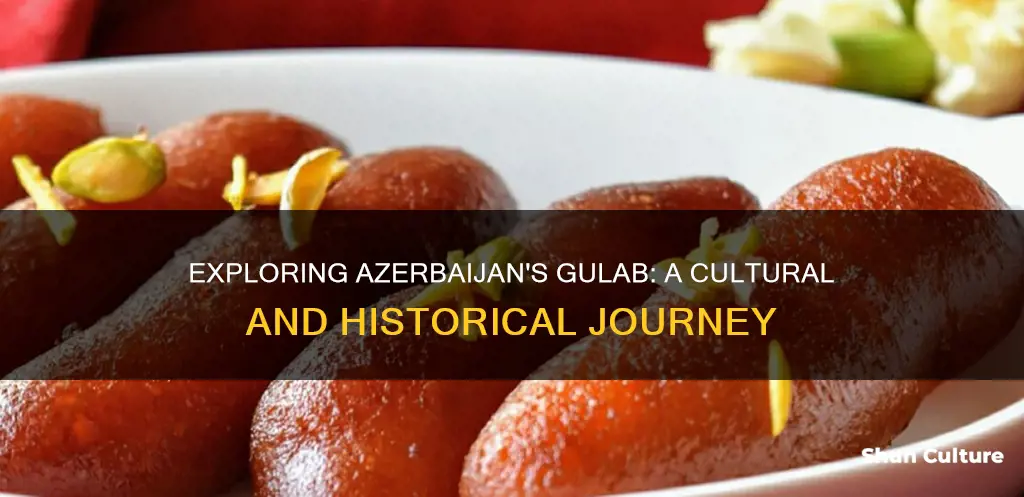 what is gulab in azerbaijan