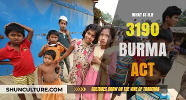 Understanding the H.R. 3190 Burma Act: A Comprehensive Guide