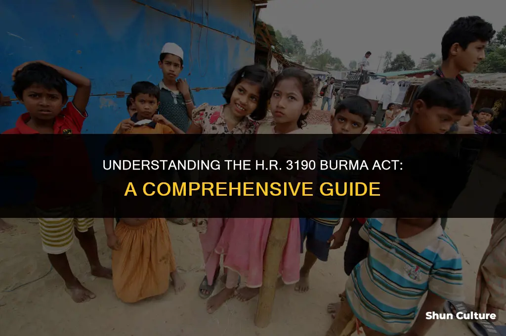 what is h.r 3190 burma act