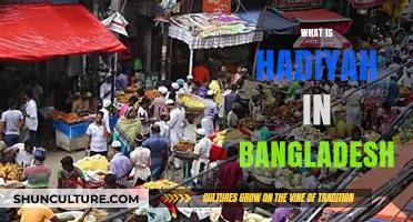 Understanding Hadiyah: A Traditional Bangladeshi Gift-Giving Custom Explained