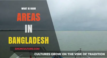Exploring Bangladesh's Haor Areas: Unique Wetlands and Their Significance