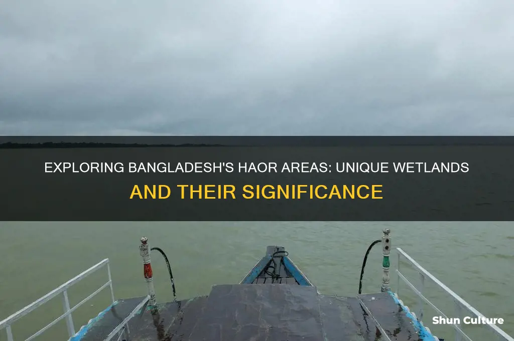 what is haor areas in bangladesh