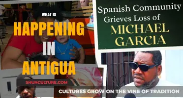 Exploring Antigua's Latest News, Events, and Cultural Developments Today