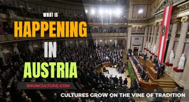 Austria's Turbulent Times: Unraveling the Recent Developments