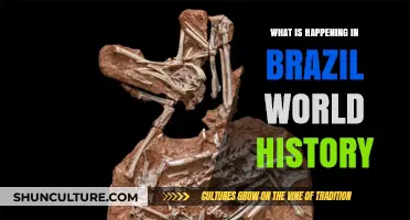 Brazil's Historical Evolution: Key Events Shaping Its Global Impact Today