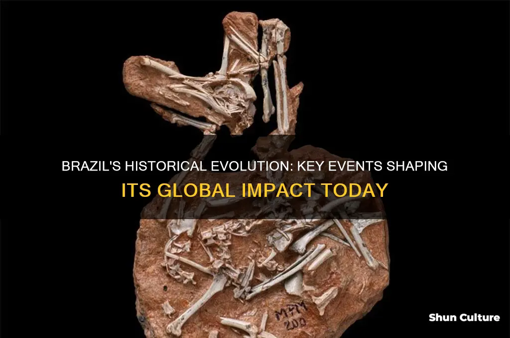 what is happening in brazil world history
