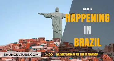 Brazil's Current Affairs: Politics, Economy, and Social Changes Unpacked