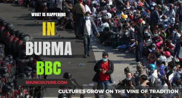 Unraveling the Complex Crisis in Burma: A BBC Analysis