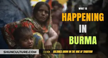 Unraveling the Complex Crisis: Burma's Struggle for Peace and Democracy
