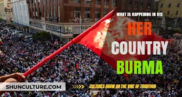 Unraveling the Complexities: A Glimpse into Burma's Current Affairs