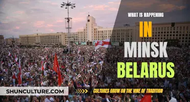 Unraveling the Unrest in Minsk, Belarus