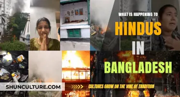 Persecution of Hindus in Bangladesh: Rising Violence and Displacement