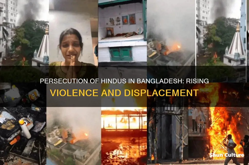 what is happening to hindus in bangladesh