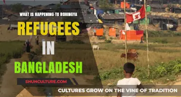 Rohingya Crisis: Bangladesh's Struggle to Shelter Persecuted Refugees