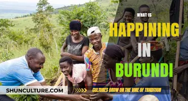 Unraveling the Complexities: Burundi's Current Affairs Explained