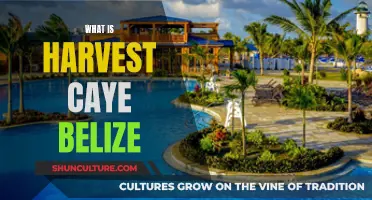 The Tropical Paradise of Harvest Caye, Belize: An Island Escape