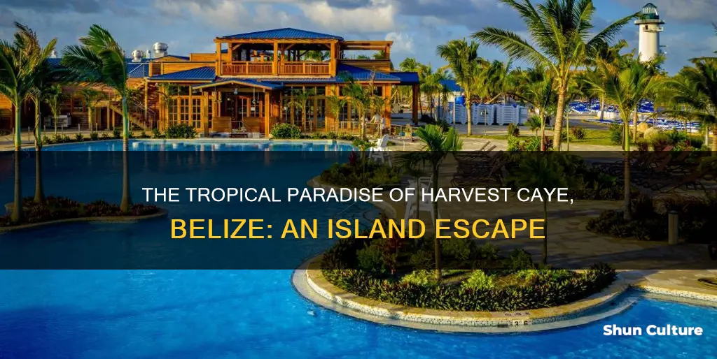 what is harvest caye belize