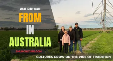 Australian Hay: What Grasses and Legumes are Used?