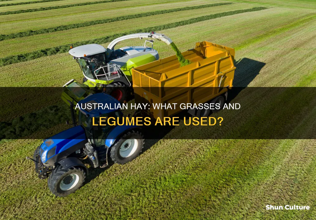 what is hay made from in australia