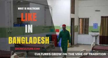 Exploring Bangladesh's Healthcare System: Challenges, Innovations, and Accessibility