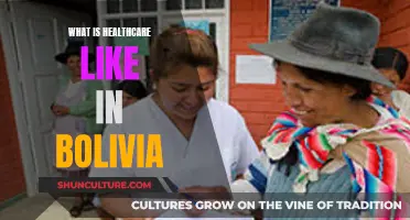 Healthcare in Bolivia: A Comprehensive Overview