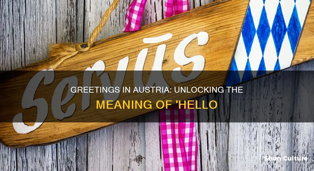 what is hello in austria