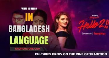 How to Say Hello in the Bangladesh Language: A Quick Guide
