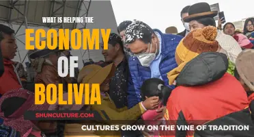 Bolivian Economy: Factors Behind Its Growth