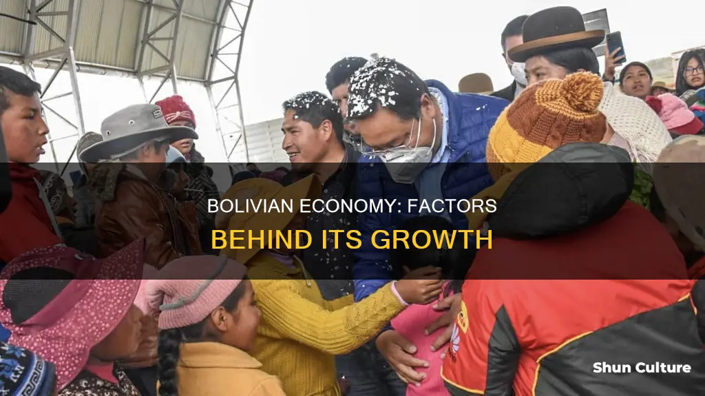 what is helping the economy of bolivia