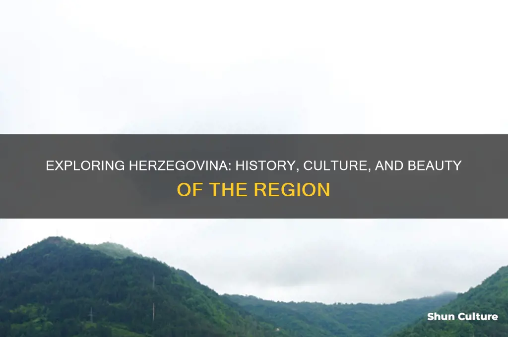 what is herzegovina region