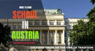 Exploring Austria's High School System: Structure, Challenges, and Opportunities