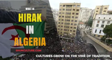 Understanding Hirak: Algeria's Mass Protest Movement for Political Change