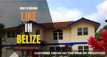 Belize's Housing Scene: A Tropical Mix of Old and New