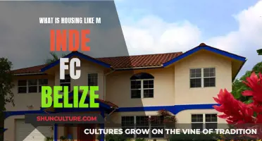 The Housing Landscape in Mind: A Look at Life in Belize