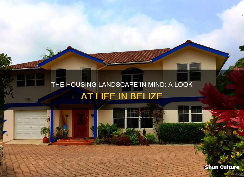 what is housing like m inde fc belize