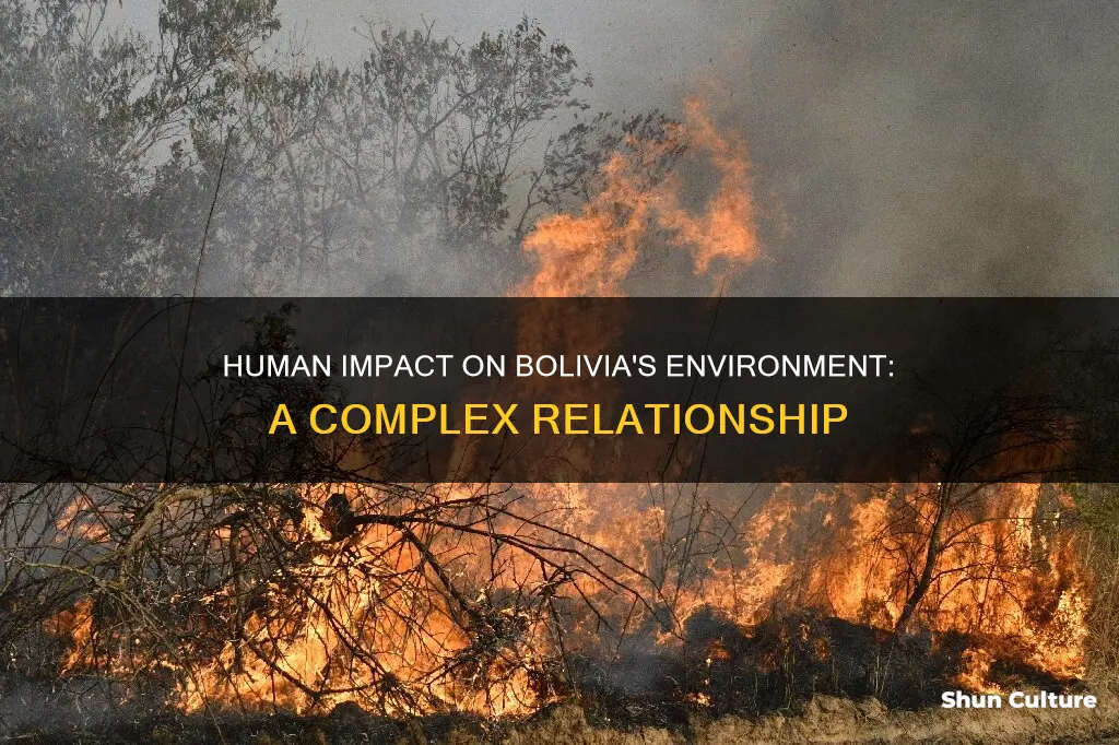 what is human environmental interaction in bolivia