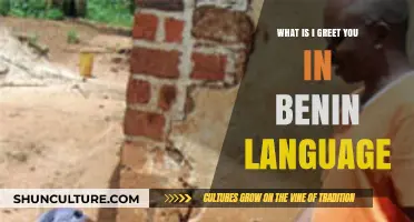 Exploring Cultural Connections: A Beginner's Guide to Greeting in Benin's Local Language
