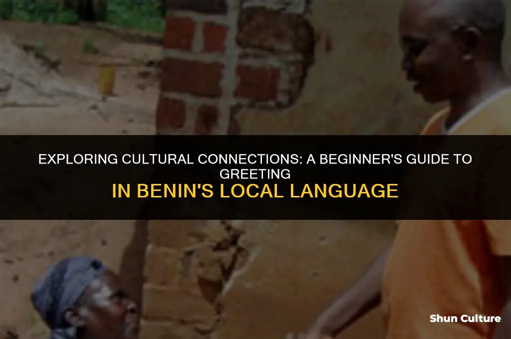 what is I greet you in benin language
