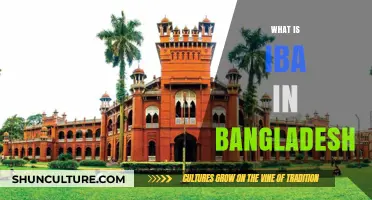 Understanding IBA: Bangladesh's Premier Business School and Its Impact