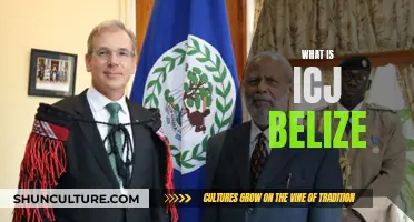 The ICJ Belize Decision: Understanding the Ruling and Its Impact